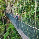 From Kuala Lumpur Taman Negara Day Trip With Lunch - Who Should Consider This Tour?