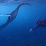 From Lembongan: Snorkeling Day Trip to Nusa Lembongan & nusa Penida island - What Makes This Tour Special