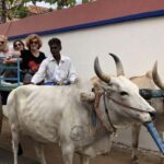 From Madurai: Trichy, Thanjavur, and Pondicherry Day Trip - Why This Tour Offers Great Value