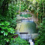 From Manila: Day Tour to Enchanting Hidden Valley - The Guide and the Personal Touch