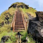 From Mumbai: Sondai Fort Guided Trek with Meals & Transfers - An Honest Look at the Sondai Fort Guided Trek