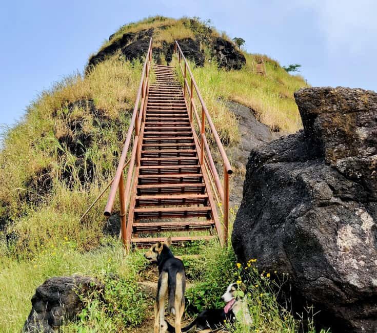 From Mumbai: Sondai Fort Guided Trek with Meals & Transfers - An Honest Look at the Sondai Fort Guided Trek