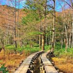 [From Nagano] Private 1-day Kamikochi & Matsumoto Tour - Who Is This Tour Best For?