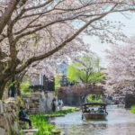From Nagoya: Castles and Canals in Hikone and Omi Hachiman - Why This Tour Offers Great Value
