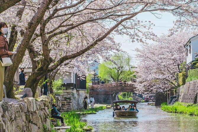 From Nagoya: Castles and Canals in Hikone and Omi Hachiman - Why This Tour Offers Great Value