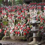 From Nagoya: Discover Aichi  Korankei, Miso, & Inari Shrine - The Value of This Tour
