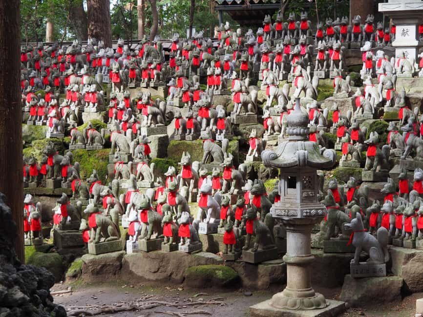 From Nagoya: Discover Aichi  Korankei, Miso, & Inari Shrine - The Value of This Tour