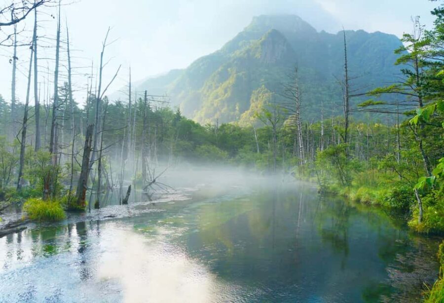 From Nagoya: Kamikochi Guided Hike in the Japanese Alps - Practical Considerations