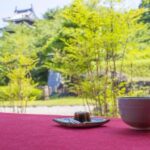 From Nagoya: Wagashi Workshop & Matcha Tea Field Tour - Exploring the Itinerary in Detail