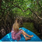 From Negombo: Exclusive Madu River Safari & Turtle Hatchery - A Detailed Look at the Tour Experience