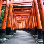 From Osaka: Fushimi Inari -taisha, Omihachiman and La Collina - The Sum Up
