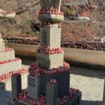 From Osaka: Katsuoji & Kyoto Kiyomizu & Arashiyama w/ Tea option - What real travelers say