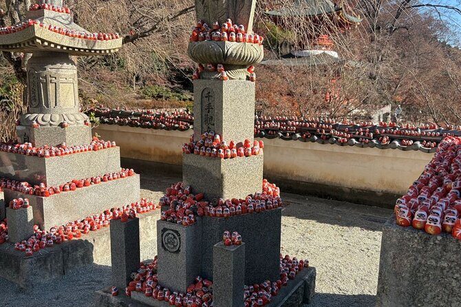 From Osaka: Katsuoji & Kyoto Kiyomizu & Arashiyama w/ Tea option - What real travelers say