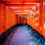 From Osaka/Kyoto: Arashiyama, Nara Park, Fushimi Shrine Tour - Who This Tour Suits Best