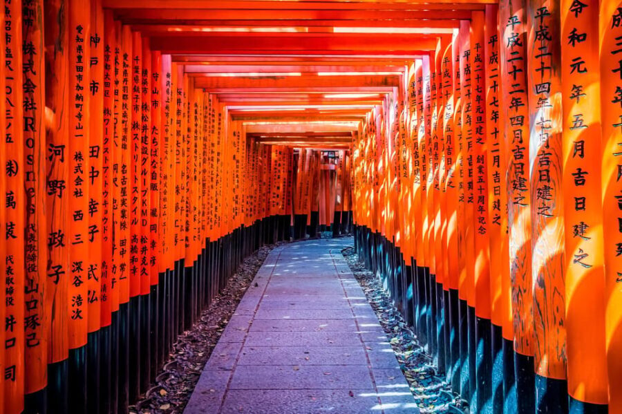 From Osaka/Kyoto: Arashiyama, Nara Park, Fushimi Shrine Tour - Who This Tour Suits Best