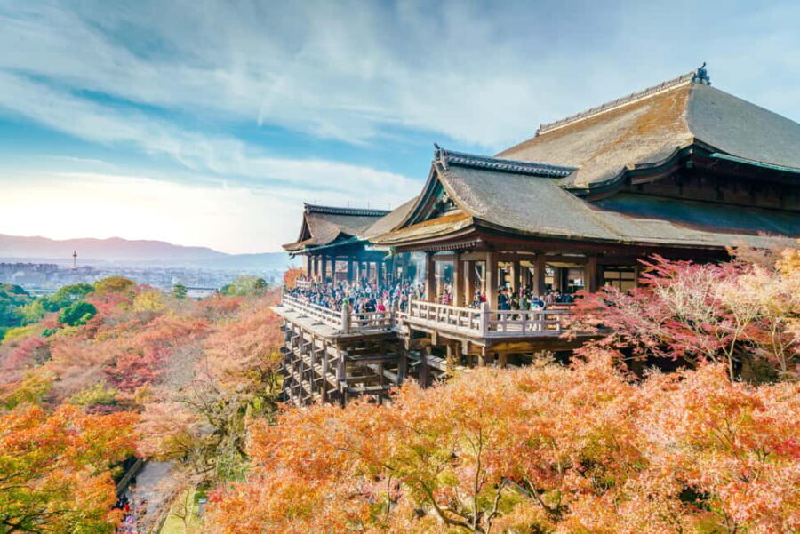 From Osaka: Kyoto & Nara Highlights Day Tour (7 attractions) - Why This Tour Works for You