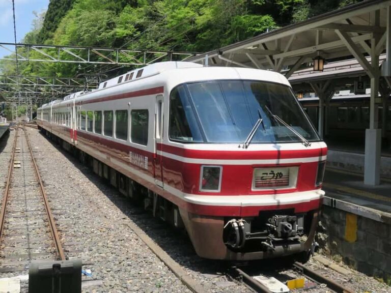 From Osaka: Private Guided Day Trip to Koyasan (UNESCO Site) - Overall Value and Experience