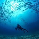 From Phi Phi: Half Day Trip for Certified Divers (2 Dives) - FAQ