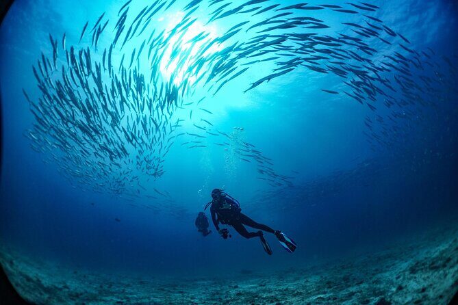 From Phi Phi: Half Day Trip for Certified Divers (2 Dives) - FAQ