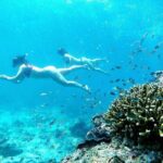 From Phuket: Phi Phi, Maya and Bamboo Islands Full Day Visit - Who Should Consider This Tour?