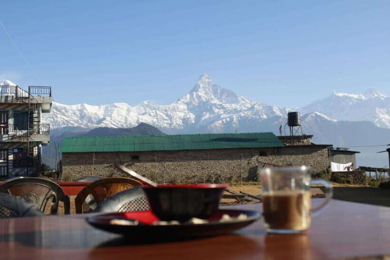 From Pokhara: Australian Camp and Dhampus Hiking Tour - What’s Included and What’s Not