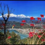 From Pokhara: Guided Day Jungle Hiking Tour with Boat Ride - What Makes This Tour Stand Out?