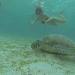 From Puerto Princesa: Port Barton & Island Hopping Day Trip - Is This Tour Worth It? Analyzing the Value