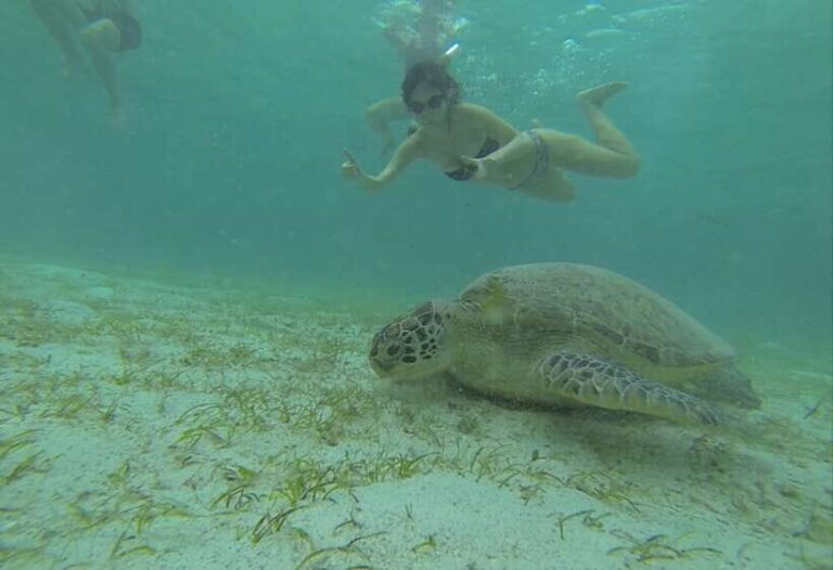 From Puerto Princesa: Port Barton & Island Hopping Day Trip - Is This Tour Worth It? Analyzing the Value