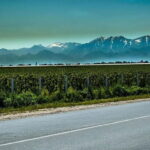 From Samarkand: Shahrisabz Private Day Tour - The Value of a Guided or Self-Directed Tour