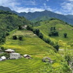 From Sapa: Half-day Guided Trek to Lao Chai & Ta Van with Lunch - What Makes This Tour Stand Out?