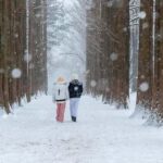 From Seoul: Nami Island, Korean Garden & Rail Bike Day Trip - Exploring the Full Itinerary