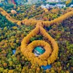 From Shanghai: Nanjing Private Day Trip by High-Speed Rail - What Makes This Tour Stand Out?