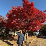 From Shinjuku:Mt.Takao Hike,Temple & Onsen with Samurai Guide Sho - What’s the Value?