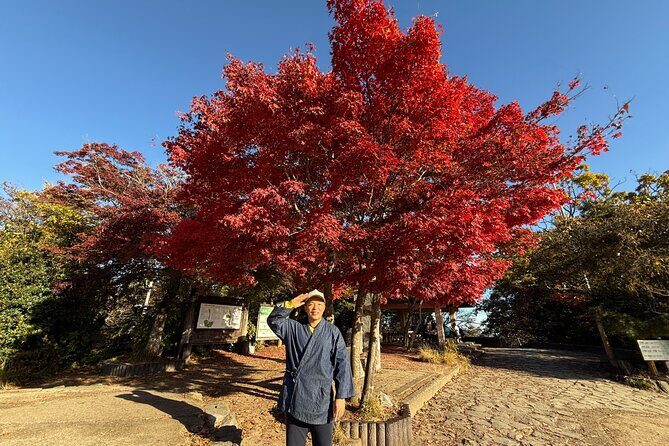 From Shinjuku:Mt.Takao Hike,Temple & Onsen with Samurai Guide Sho - What’s the Value?