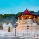 From Sigiriya to Kandy Transfer by Private Comfortable Car - A Detailed Breakdown of the Experience