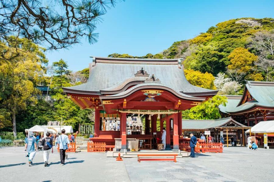 From Tokyo: Kamakura Full Day Private Custom Tour - Exploring Kamakura with a Guide: What to Expect