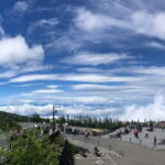 From Tokyo: Mount Fuji, Cruise and Sake Tasting Tour - Authenticity and Value: What Travelers Say