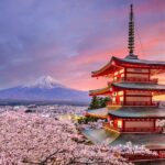 From Tokyo Mount Fuji Full Day Private Tour - Who Should Consider This Tour?
