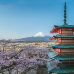From Tokyo: Mount Fuji, Macha Workshop and Shopping Tour - Practical Tips for Your Day Out