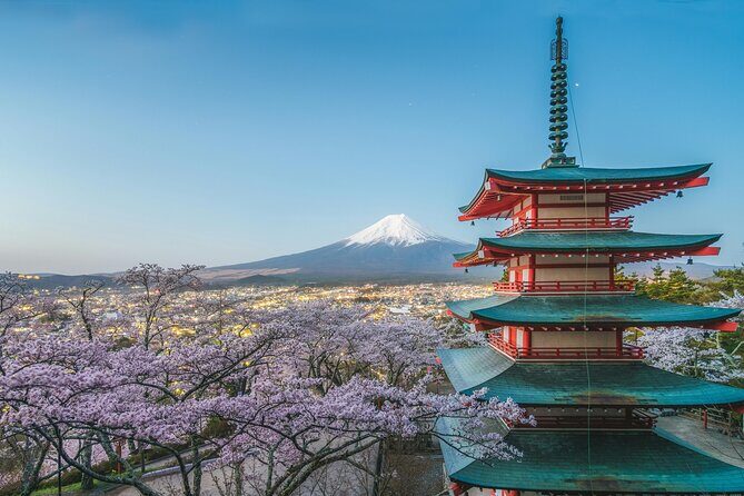 From Tokyo: Mount Fuji, Macha Workshop and Shopping Tour - Practical Tips for Your Day Out