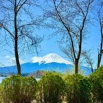 From Tokyo: Mount Fuji Private Trip with English Speaking Driver - The Value of This Tour
