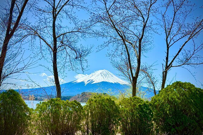 From Tokyo: Mount Fuji Private Trip with English Speaking Driver - The Value of This Tour