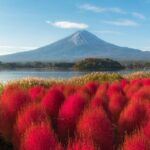 From Tokyo Mt.Fuji, Lake Kawaguchi, Makaino Farm day tour - The Details of Your Day Trip