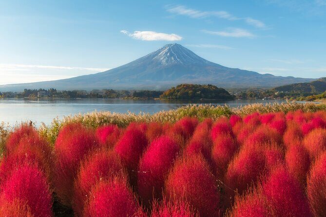 From Tokyo Mt.Fuji, Lake Kawaguchi, Makaino Farm day tour - The Details of Your Day Trip