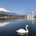 From Tokyo: Mt Fuji Lawson & Mt. Fuji Iconic Lakes 1-Day Bus Tour - Practical Details and Tips