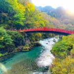 From Tokyo: Nikko private 1-day sightseeing Tour with Guide - Who Is This Tour Best Suited For?