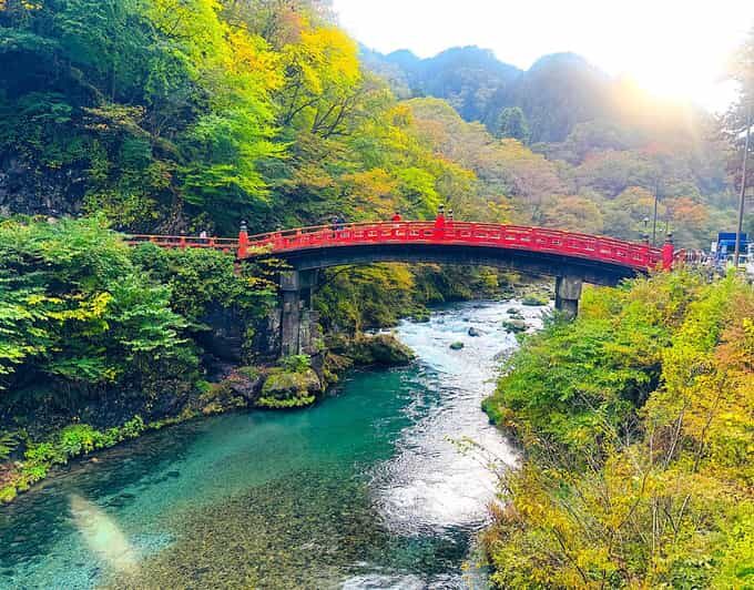 From Tokyo: Nikko private 1-day sightseeing Tour with Guide - Who Is This Tour Best Suited For?