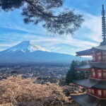 From Tokyo Private Trip to Mount Fuji and Lake Kawaguchi - Final Thoughts