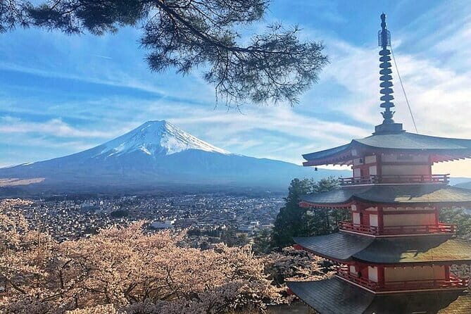 From Tokyo Private Trip to Mount Fuji and Lake Kawaguchi - Final Thoughts