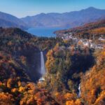 From Tokyo Private Trip to Nikko - Authentic Experiences and Practicalities